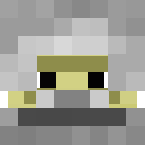 Example image of Skeleton Shulker