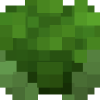 Example image of Broccoli