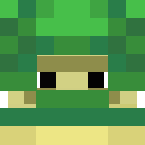 Example image of Turtle Shulker