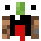 Example image of Derp Grass Block