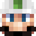 Example image of Fire Luigi