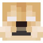 Example image of Herobrine Doge