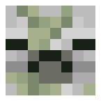 Example image of Zombie Pigman Skull